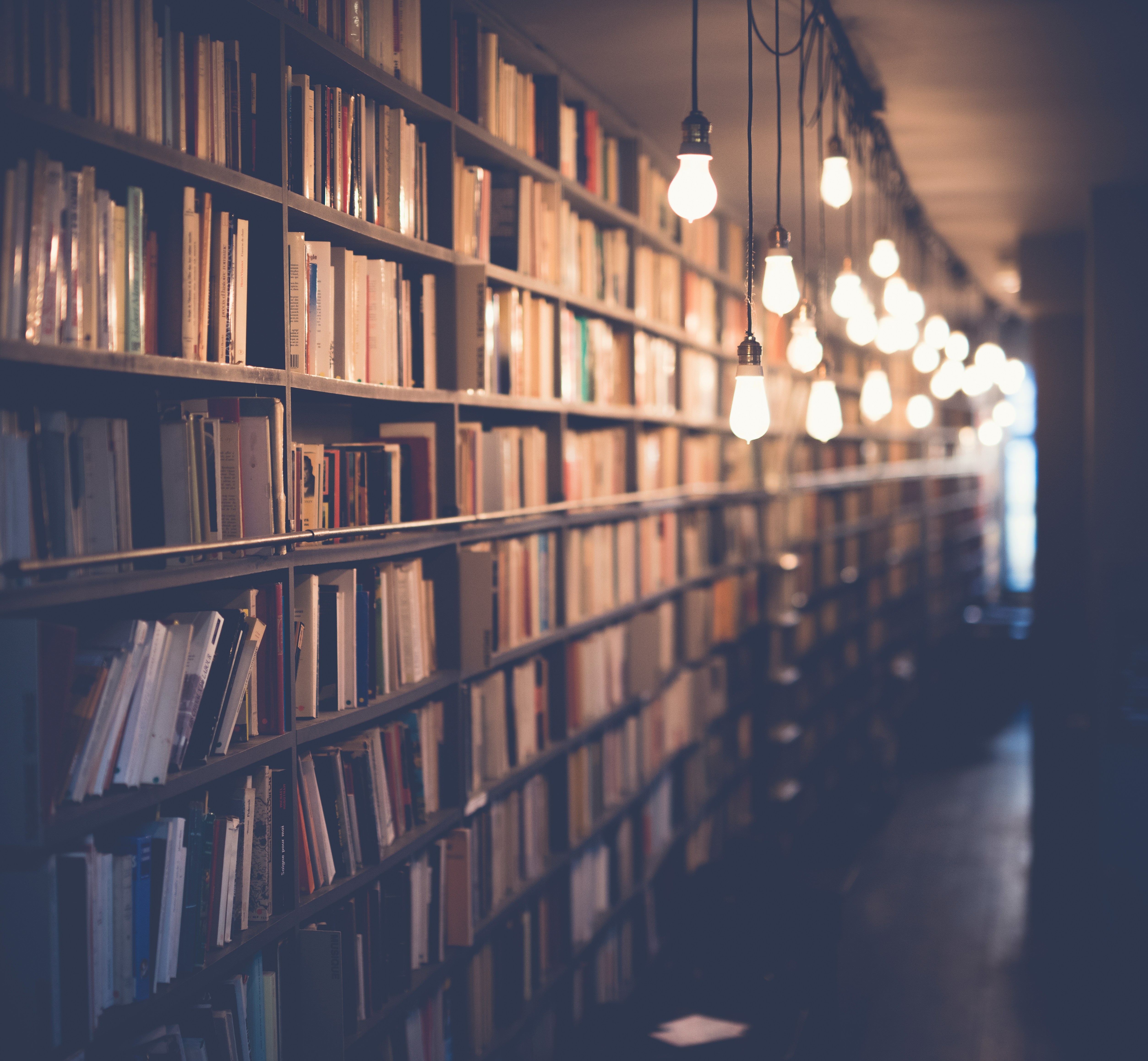 AI Education Courses